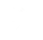 Hirundo